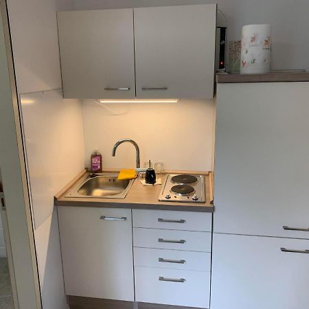Kleines Einzimmer-Apartment 14 Bad Wildbad Zewnętrze zdjęcie