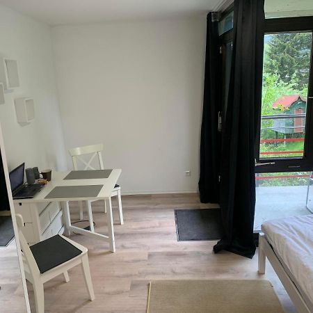 Kleines Einzimmer-Apartment 14 Bad Wildbad Zewnętrze zdjęcie