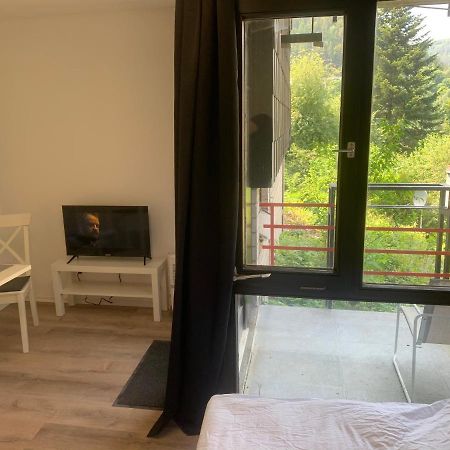 Kleines Einzimmer-Apartment 14 Bad Wildbad Zewnętrze zdjęcie