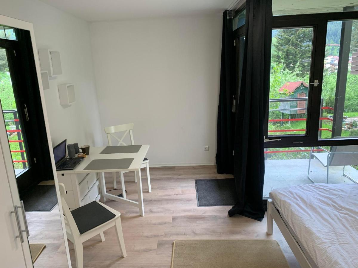 Kleines Einzimmer-Apartment 14 Bad Wildbad Zewnętrze zdjęcie